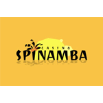 Spinamba Casino bonus logo